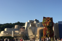 Guggenheim Museum Bilbao