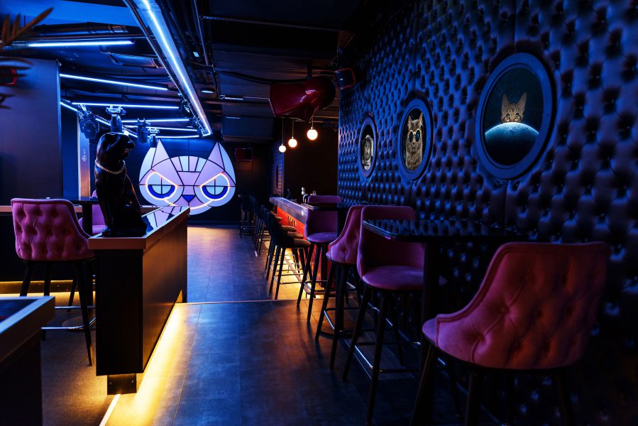  CAT  Bar  and Dance Club Budapest  DESIGN THE Stylemate