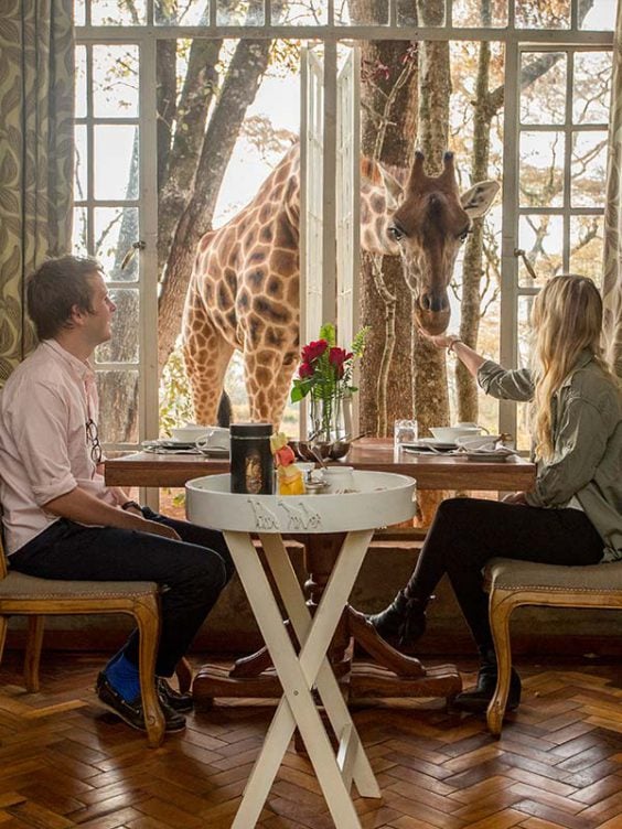 Giraffe Manor: Inhouse Safari Adventure - THE Stylemate